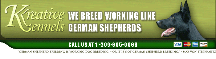 german shepherd kennels