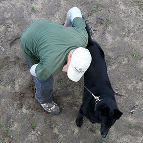 german shepherd training