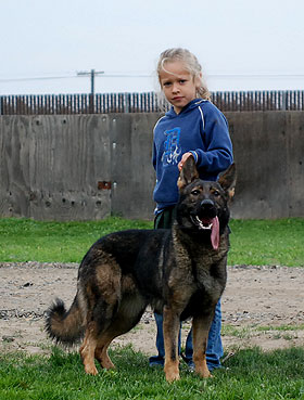 Julia Eleina Tavera family companion german shepherd